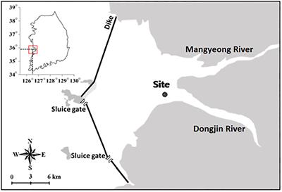 A study of the feeding characteristics of a small and medium-sized copepod species (Sinocalanus tenellus) using genetic analysis techniques: seasonal comparison of potential/eaten food sources focused on phytoplankton